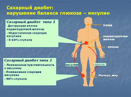 Kak Bystro Snizit Uroven Sahara V Krovi Narodnymi Sredstvami Umenshit Bystro
