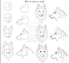 How To Draw Wolf Heads Wolf Face Drawing Wolf Drawing Wolf Drawing Easy
