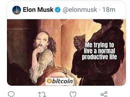 Elon musk tweeted about bitcoin several times on sunday, starting with bitcoin is my safe word, making the same joke he previously made on several occasions. Elon Musk S Bitcoin Tweet Bitcoinca