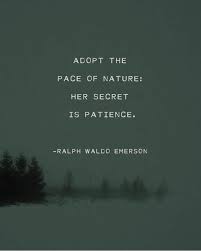 Ralph Waldo Emerson Adopt The Pace Of Nature Poem Men S Etsy Nature Poem Emerson Quotes Emerson