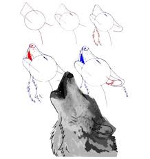 How To Draw A Howling Wolf References Tiere Zeichnen Skizzen Von Tieren Kunstproduktion