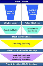 2 a fabric made of strands loosely twisted, knotted, or woven together at regular intervals. Mesh Indexing Based On Automatically Generated Summaries Bmc Bioinformatics Full Text