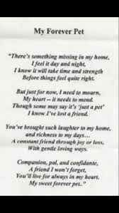 Memorial Poem For Dogs Dog Poems Losing A Pet Dog Quotes