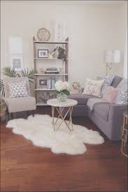 15 Awesome Cute Decorations For Apartments Photos Small Living Room Layout Small Living Room Decor Apartment Living Room Design