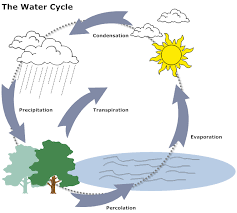 Water Cycle Diagram Water Cycle Diagram Easy Drawings Water Cycle