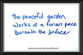 Life Inspired Haiku Poems Haiku Poems Haiku Poems