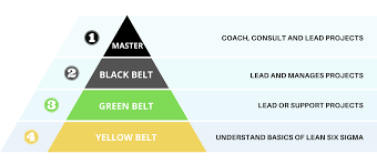 Six Sigma Belts Which Lean Six Sigma Belt Should I Take Lean Six Sigma Six Sigma Tools Sigma