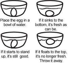 needed this tonight. tell if an egg is