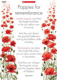 Pin By Patricia Vance On Hmmmm Stuff Remembrance Day Activities Remembrance Day Art Remembrance Day
