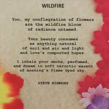 Flowers Of Love Soul Love Quotes Love Quotes For Her Love Poems