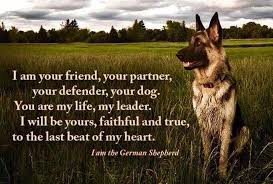 German Shepherd Poem German Shepherd Quotes German Shepherd Dogs German Shepherd