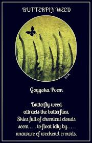 Gogyōka Or Gogyohka Japanese Poetry Form Pioneered By Enta Kusakabe In 1957 In His Quest To Find Freedom From T Japanese Poetry Forms Of Poetry Japanese Poem