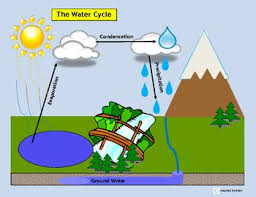 Included Is A Full Page Simple Representation Of The Water Cycle Flashcards Ar Special Education Science Science Lessons Elementary Teaching Special Education