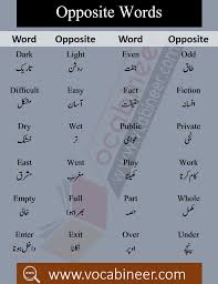 Opposite Words List With Meaning In Urdu Pdf Vocabineer Opposite Words English Opposite Words Urdu Words With Meaning