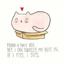 Http 24 Media Tumblr Com Tumblr M15rkzkfdj1r5cb4qo1 500 Jpg Funny Haiku Funny Haiku Poems Haiku Poems