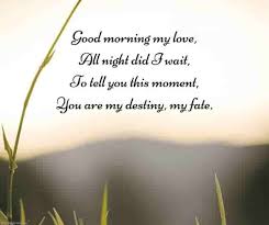 Romantic Good Morning Poems For Him Best Collection Good Morning Poems Poems For Him Love Life Quotes
