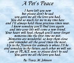 Dog Poems Passed Away Tl Files Dynamic Dropdown Images Memorials Poem Apetspeace Gif Dog Loss Quotes Dog Poems Pet Poems