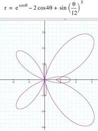 Polar Equation Equations Precalculus Shape Names