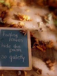Fall Haiku Haiku Poetry Haiku Japanese Poem
