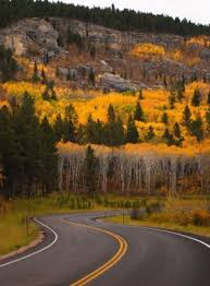 5 Fall Color Tours In The Black Hills Black Hills South Dakota South Dakota Road Trip Black Hills