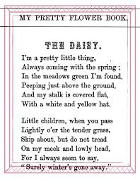 The Daisy Poem 1867 Daisy Quotes Poems Writing Poems