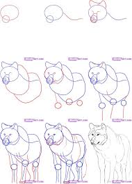 How To Draw A Wolf Tutorial Png Png Kep 651 906 Keppont Animal Drawings Drawing Tutorial Drawings