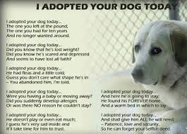 This Letter Is On Behalf Of Any Dog That S Ever Been Dumped Dog Poems Rescue Quotes Animal Rescue Quotes