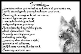 German Shepherd Alsatian Pet Dog Memorial Pet Loss Bereavement Etsy Dog Poems Dog Memorial Dog Quotes