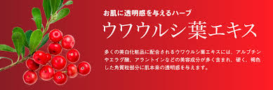 イポケアex ブレーンコスモスのライフレター公式hp