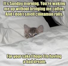 80 Good Morning Coffee Memes Images To Kick Start Your Day Morning Quotes Funny Good Morning Funny Pictures Morning Coffee Funny