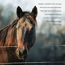 Horse Loss Poems Somewhere I Know Great Horses Live Again Horses Horse Riding Quotes Horse Poems