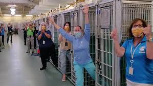 Initial vaccinations (including rabies if pet is over four months old). Florida Animal Shelter Celebrates Emptying A Kennel For The First Time Ever Cnn
