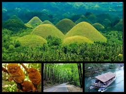 Chocolate Hills Tarsier Smallest Monkey Floating Restaurant The Forest Bohol Philippines Cool Places To Visit Tourist Spots Bohol Philippines