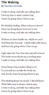 Poetry Out Loud The Waking Writing Poetry Soul Poetry Words Matter