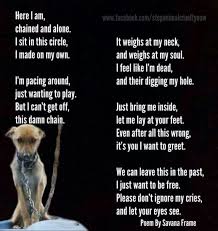 Pin By Davi Christensen On Quotes Dog Poems Animals Stop Animal Cruelty