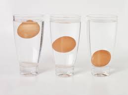 science explains why rotten eggs float