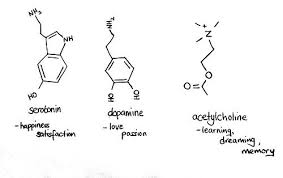 Science Tattoo Idea I D Probably Go With Acytlcholine You Know Being A Teacher And All Science Tattoos Molecule Tattoo Science Tattoo