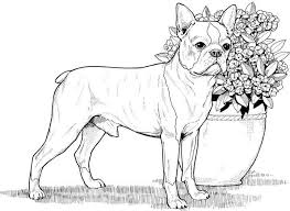 Dog Coloring Pages For Adults Best Coloring Pages For Kids Easy flowers coloring book for adults white background.