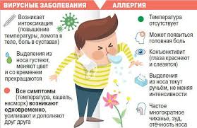 Allergiya Ili Prostuda Kak Razobratsya V Simptomah Podobrat Lechenie I Chem Opasny Kapli Dlya Nosa Amurskaya Pravda