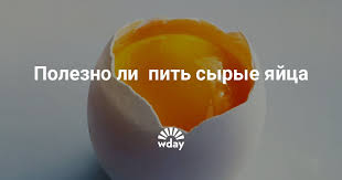Kak Mozhno Pit Syrye Yajca Www Wday Ru