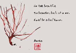 Year 4 Ist Haiku Poems With Trees In 4g Haiku Poems Haiku Poems Examples Haiku