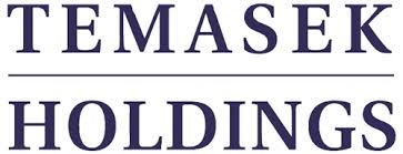 Temasek holdings (private) limited (temasek) is a sovereign wealth fund located in singapore singapore, asia, and was founded in 1974. Is Temasek A Reflection Of Singapore S Economic Decline Asia Times
