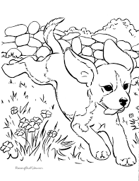 Five dogs in a funny dog coloring page. Free Printable Dog Coloring Pages Coloring Home