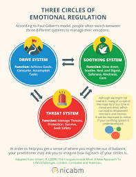 Emotional Regulation Emotional Regulation Psychoeducation Dialectical Behavior Therapy
