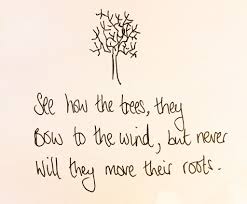 12 Have A Haiku Poem A Day Haiku Instagram Posts