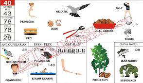 Buku Erek Erek Mimpi Buku Tafsir Mimpi Kandang Burung
