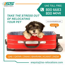 Do not be duped by their false advertising…. Iss Relocation Is Well Trained And Skilled In Handling Pet Relocation Services In Dubai Oman Qatar Bahrai Pet Relocation Moving Services Relocation Services