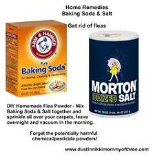 Diy Flea Powder For Your Home Get Rid Of Fleas W O Using Chemicals Pesticides Baking Soda Salt Flea Remedies Dog Flea Remedies Flea Powder