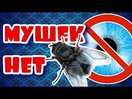 Mushki V Glazah Ischezayut Navsegda Lechebnoe Video Dlya Glaz Polnoe Vosstanovlenie Zreniya Youtube Vosstanovlenie Glaza Zdorove