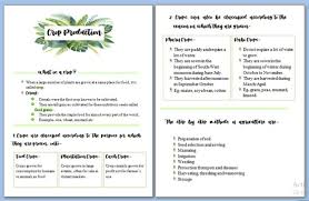 How To Use Microsoft Word To Type Organized College Notes College Notes Organization School Organization Notes College Notes